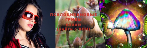 дживик Строитель