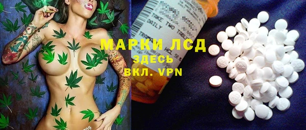 дживик Строитель