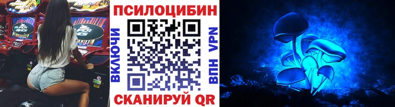 Купить  Камешково  Галлюциногенные грибы Psilocybine cubensis 